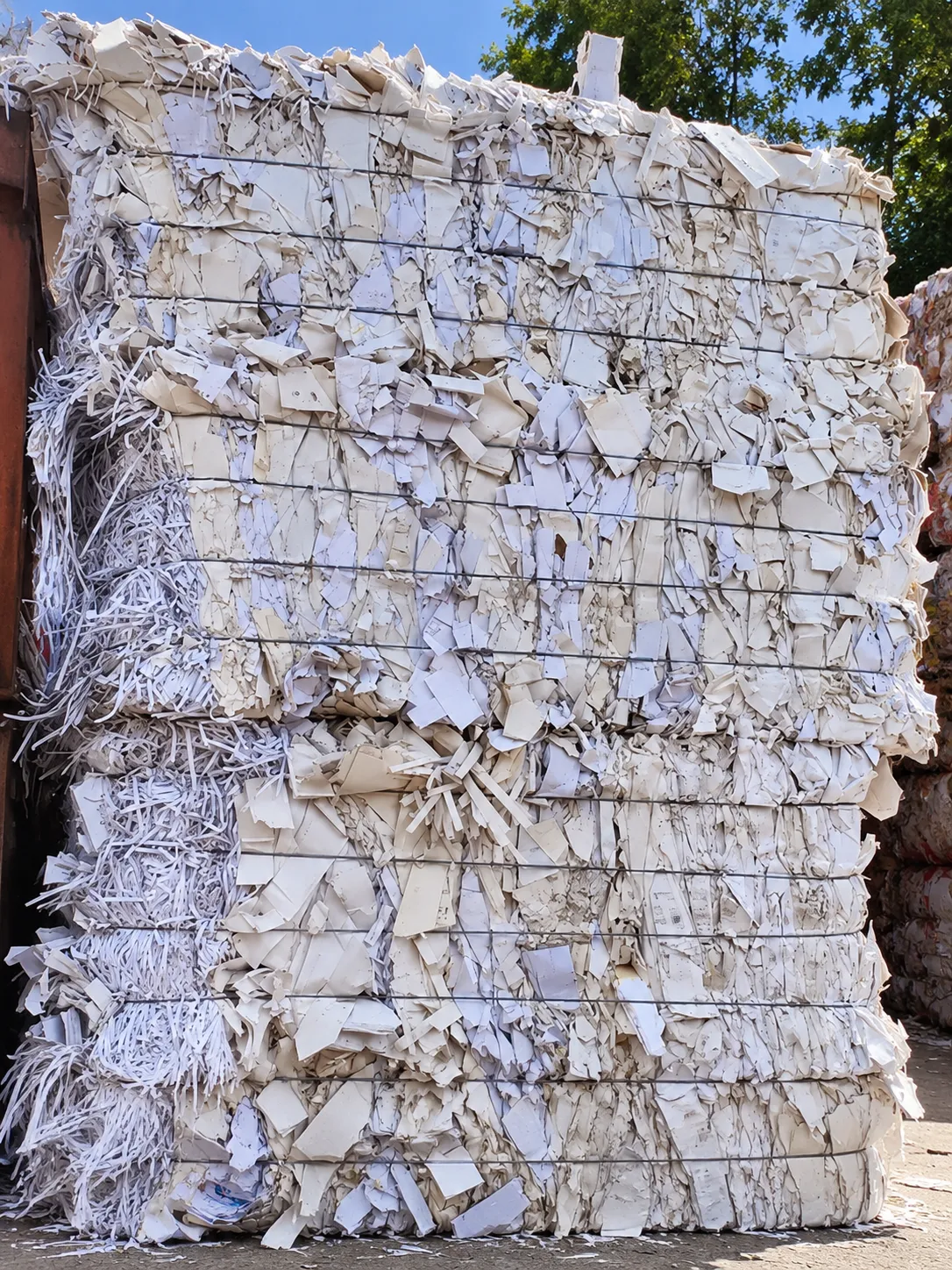 Duplex Waste Paper - 2